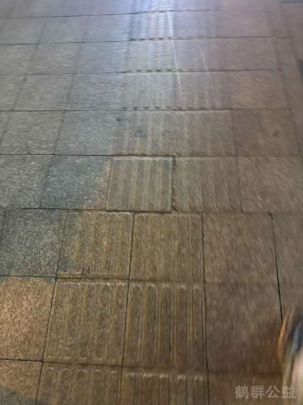盲道问题反馈图
