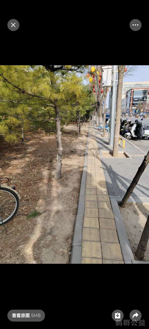 盲道问题处理后图片