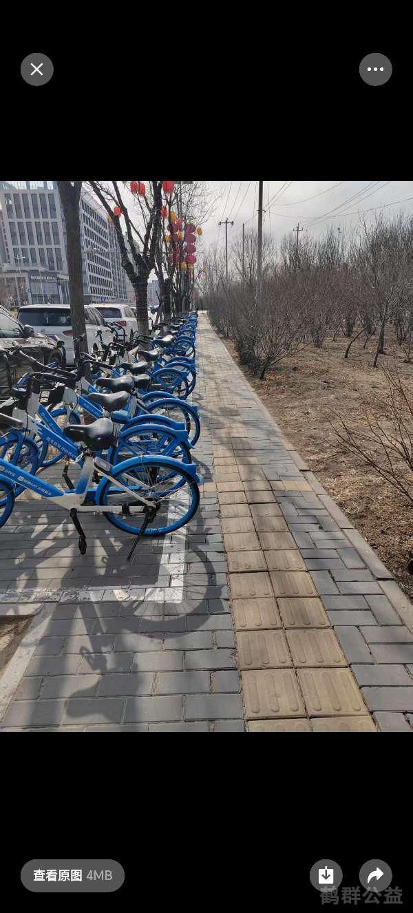 盲道问题处理后图片