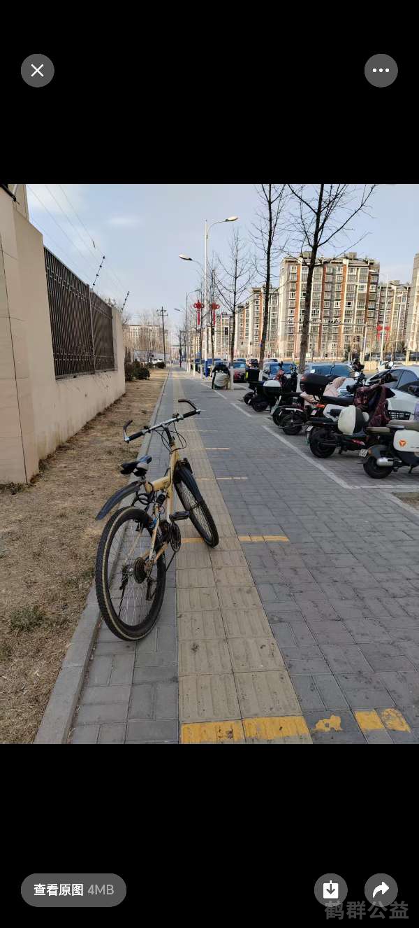 盲道问题反馈图