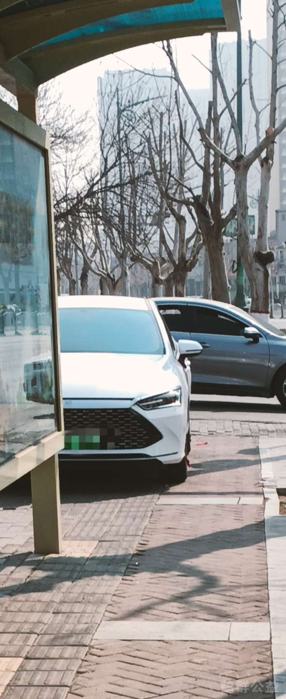 盲道问题反馈图