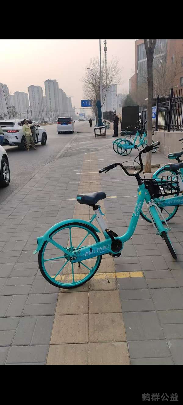 盲道问题反馈图