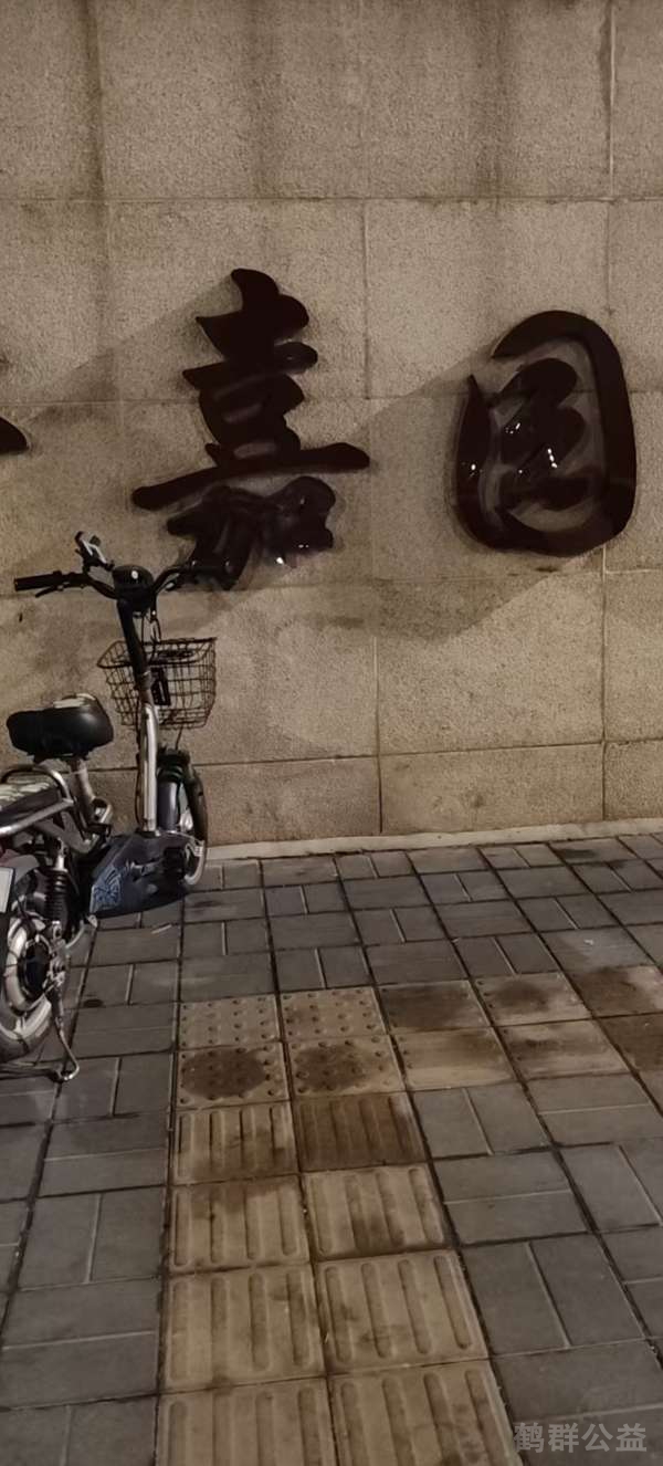 盲道问题处理后图片