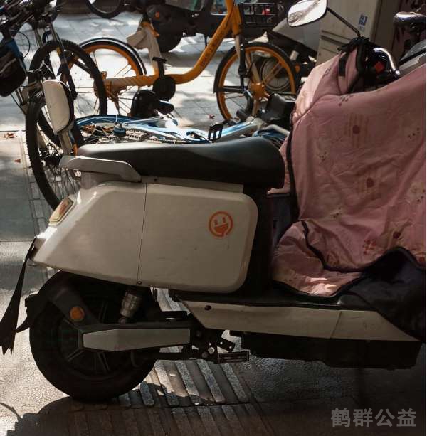 盲道问题反馈图