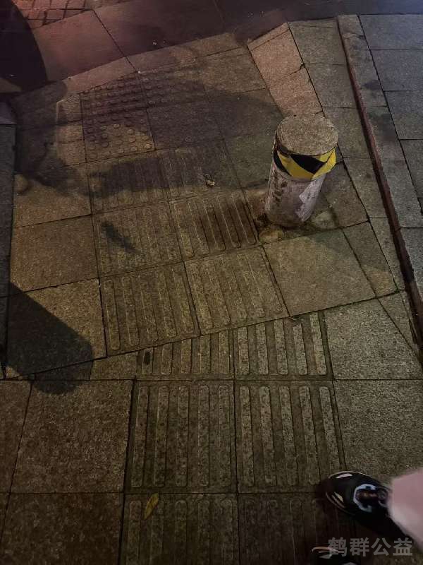 盲道问题反馈图