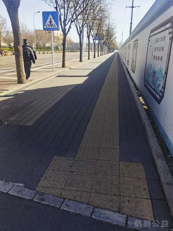 盲道问题处理后图片