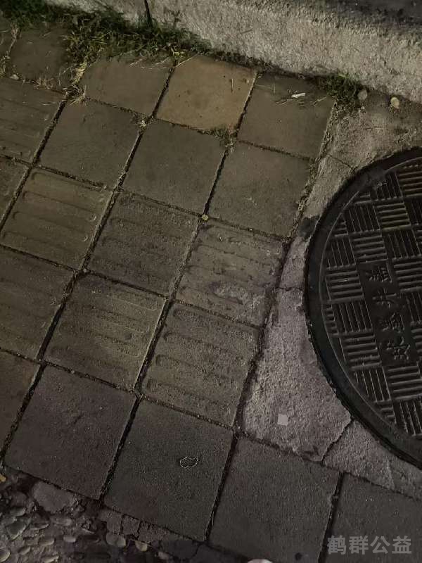 盲道问题反馈图