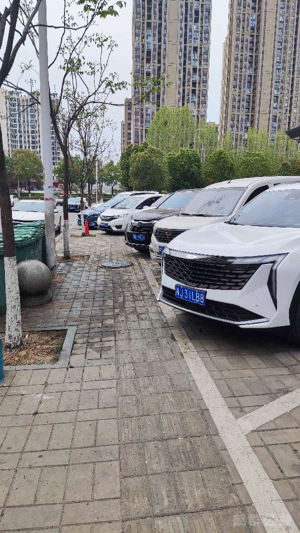 盲道问题反馈图