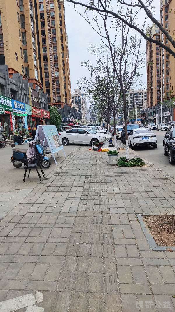 盲道问题反馈图