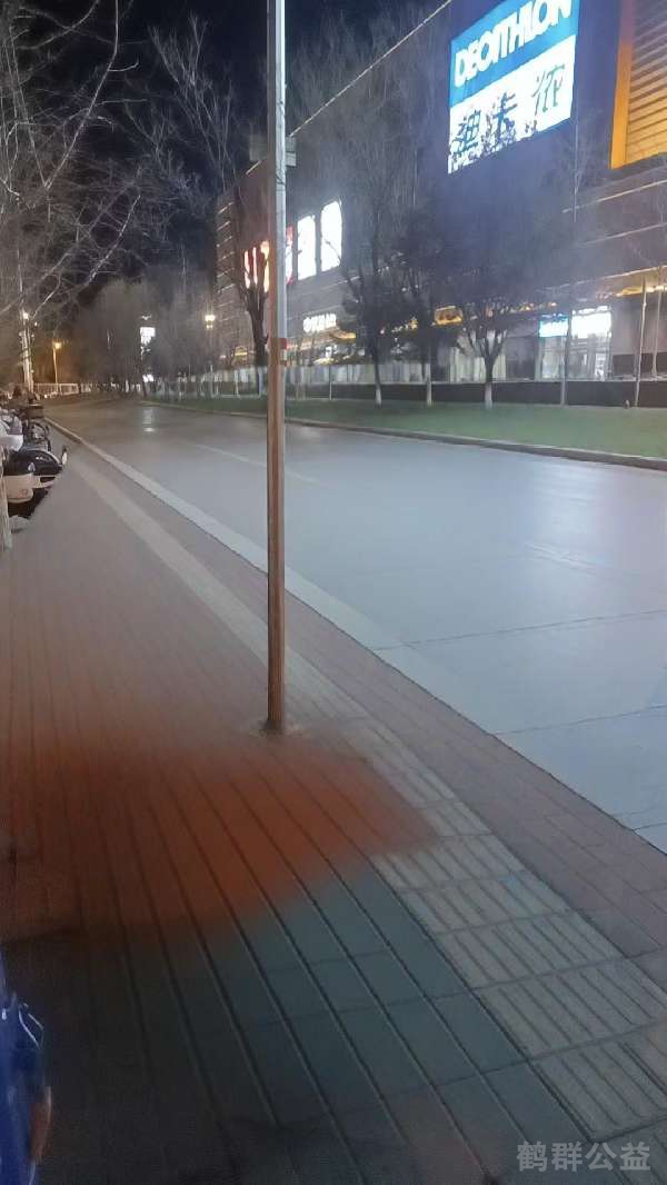盲道问题处理后图片