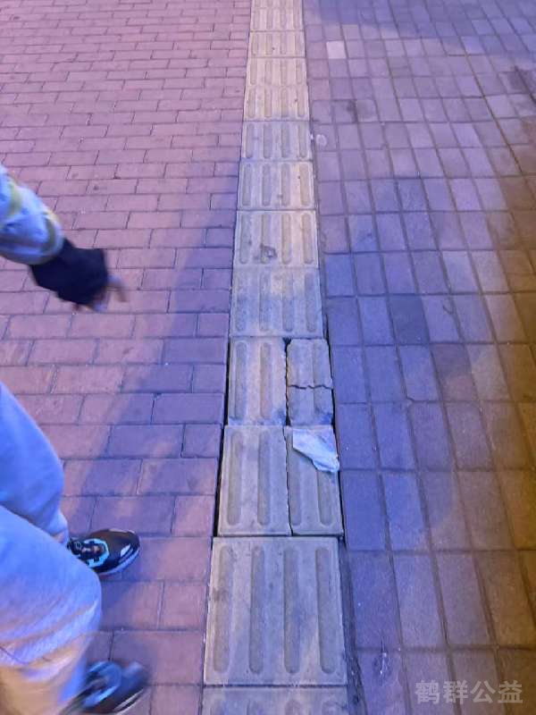 盲道问题反馈图