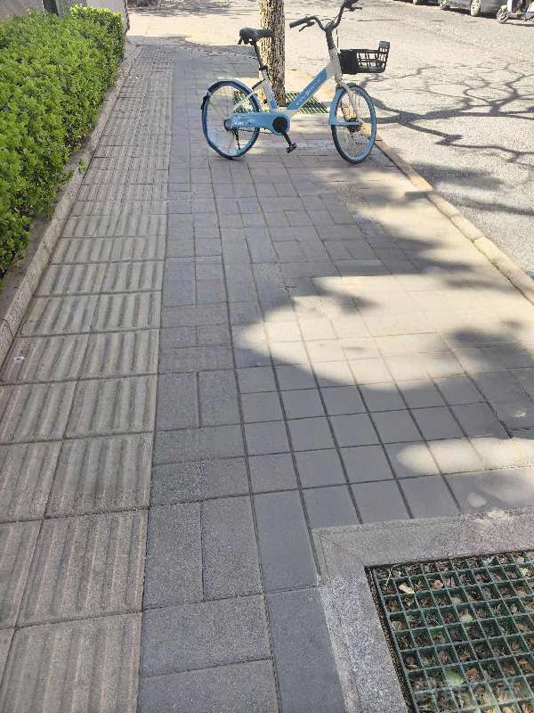 盲道问题处理后图片