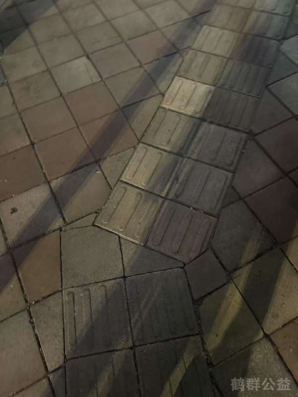 盲道问题反馈图