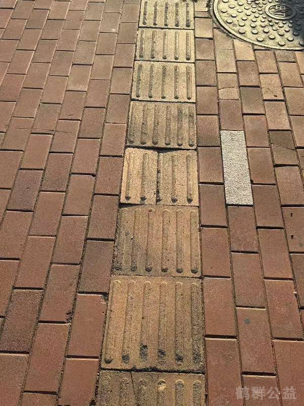 盲道问题反馈图