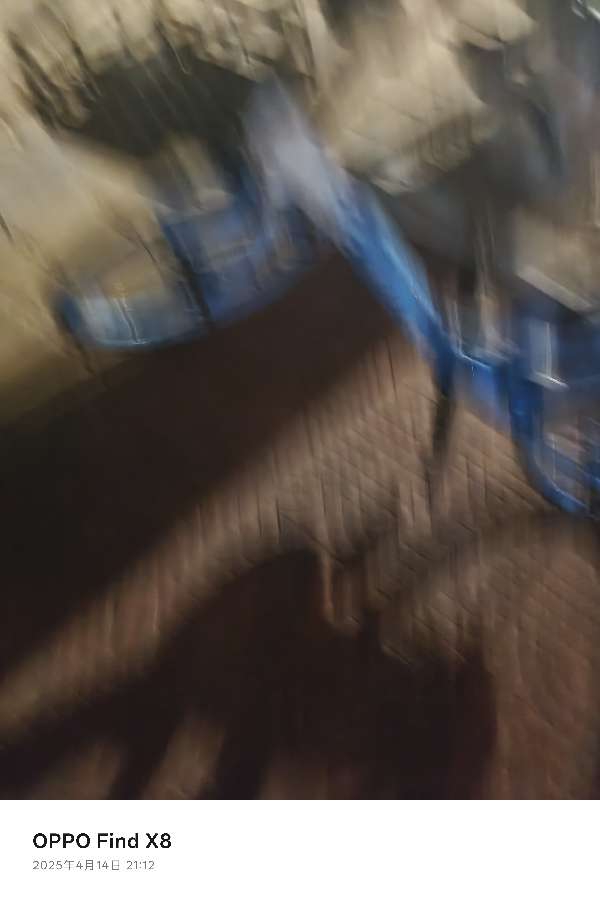 盲道问题反馈图