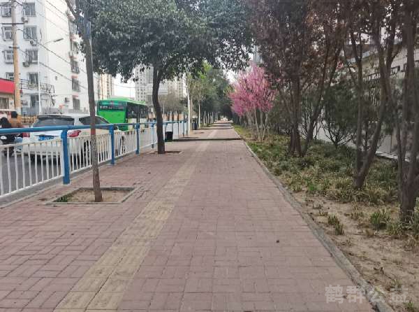 盲道问题处理后图片