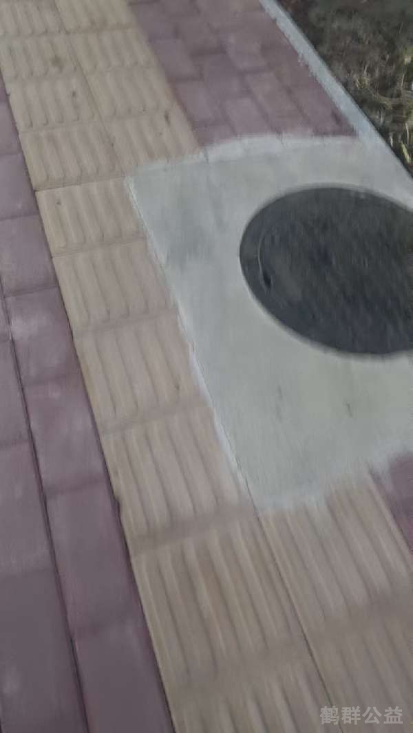 盲道问题反馈图