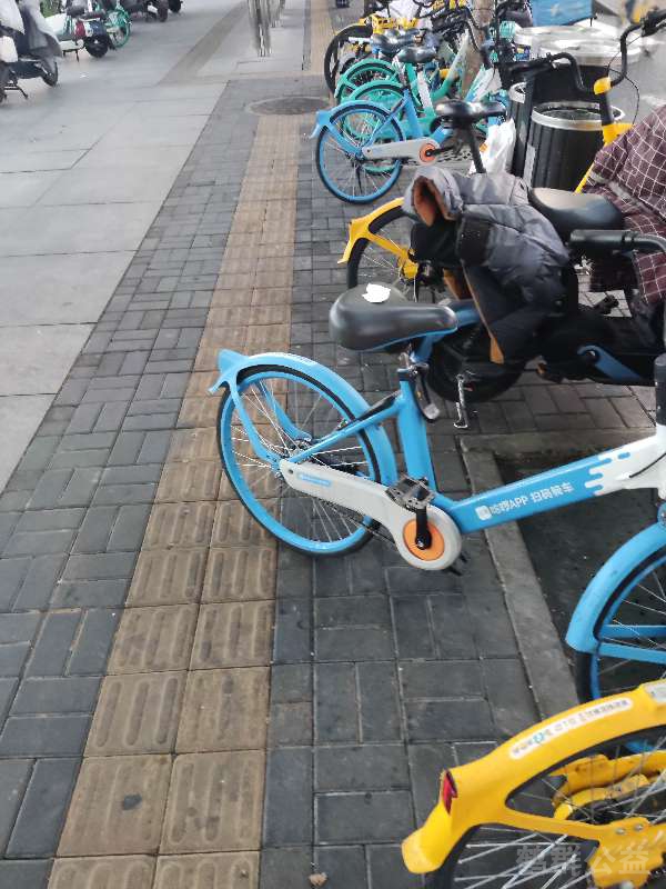 盲道问题反馈图