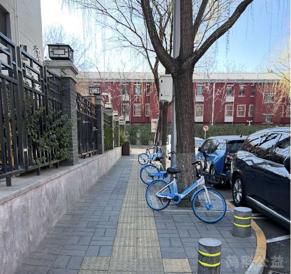 盲道问题反馈图