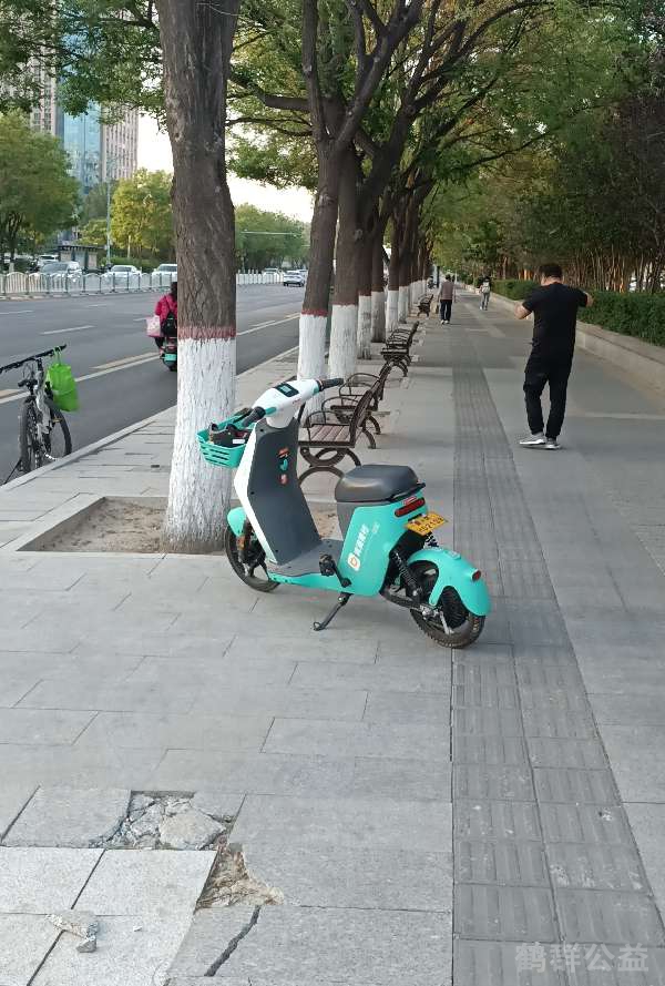 盲道问题反馈图