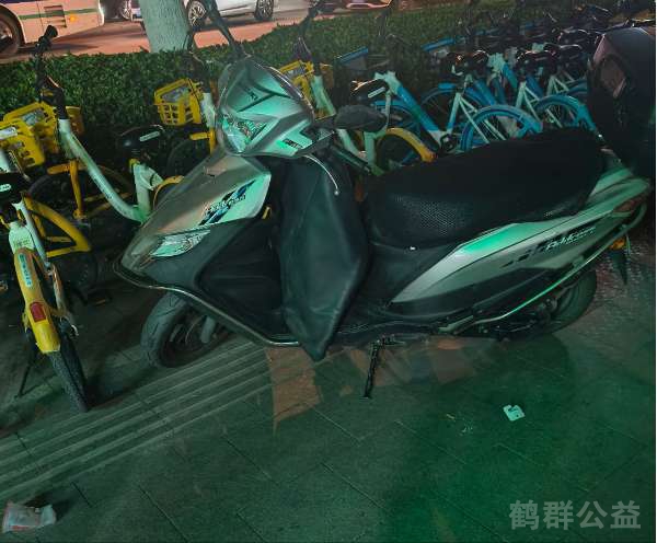 盲道问题反馈图