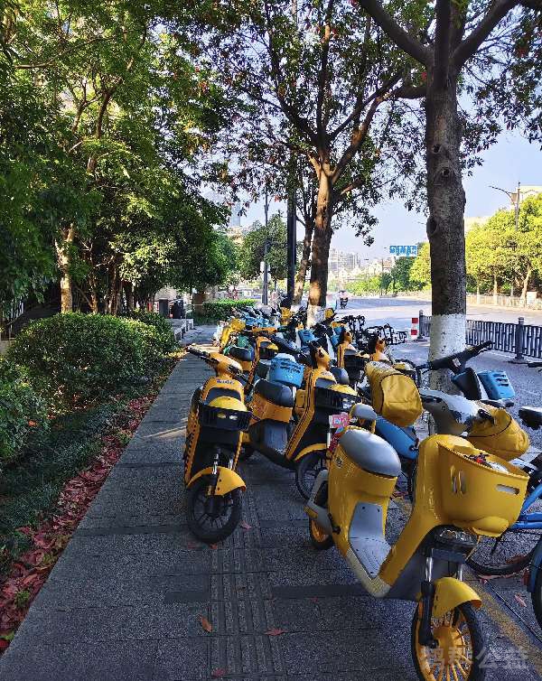 盲道问题反馈图