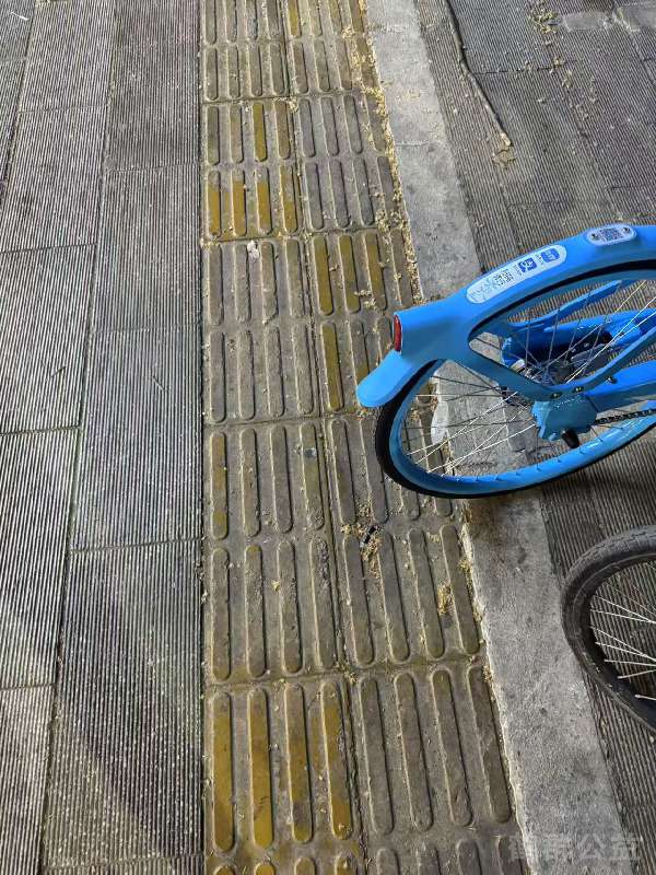 盲道问题反馈图