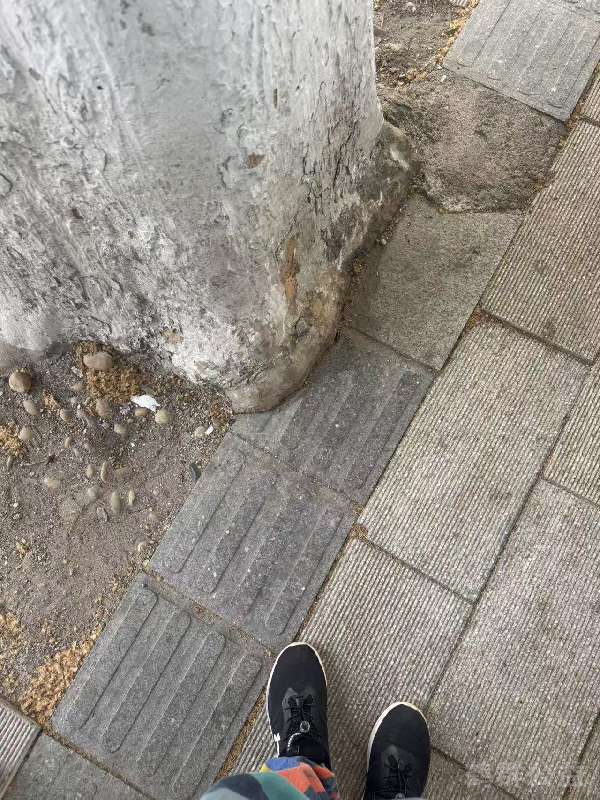 盲道问题反馈图