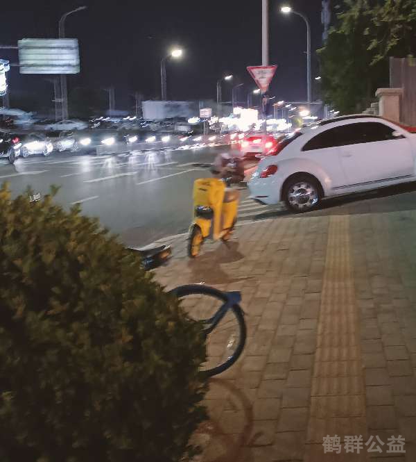 盲道问题处理后图片