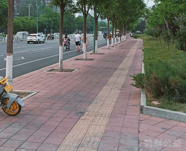盲道问题处理后图片