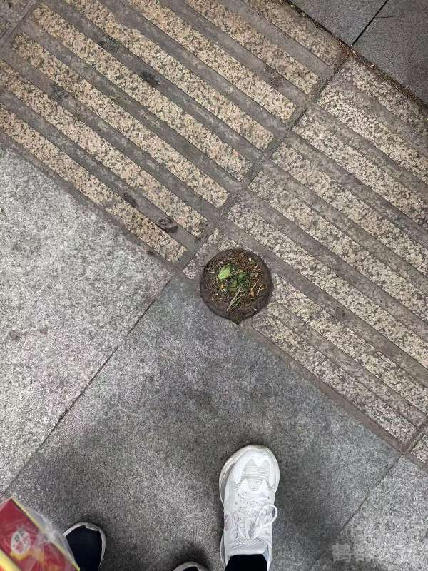 盲道问题反馈图