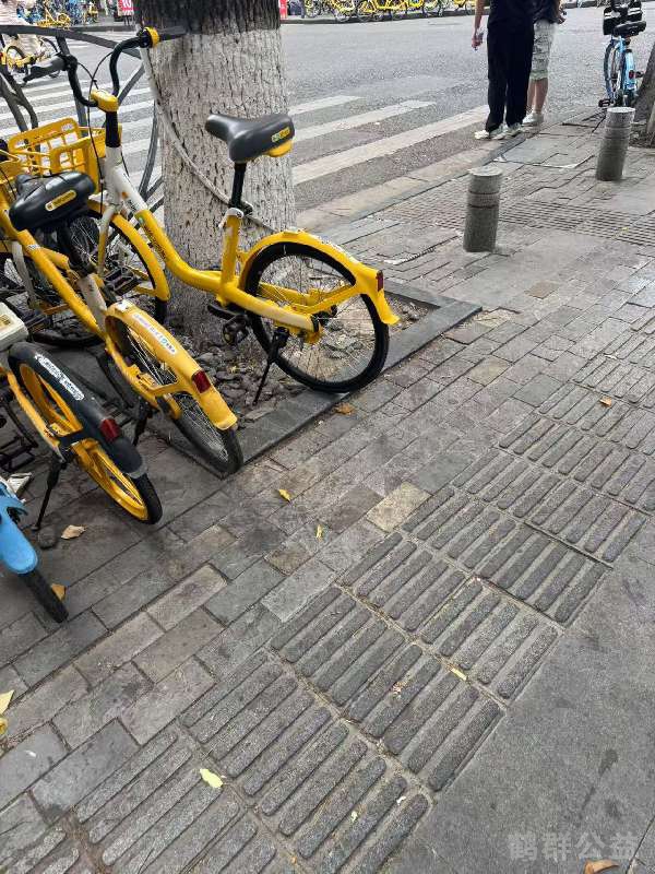盲道问题处理后图片