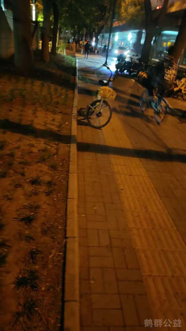 盲道问题反馈图