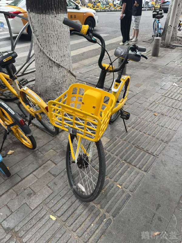 盲道问题反馈图