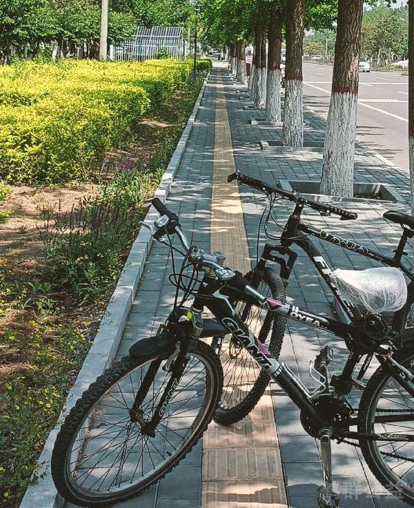 盲道问题反馈图
