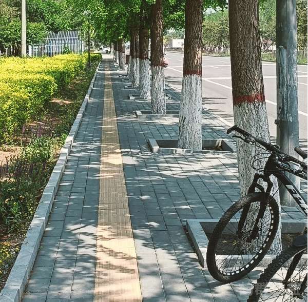 盲道问题处理后图片