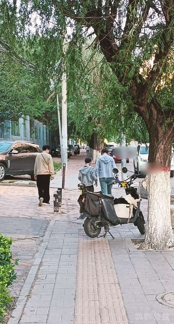 盲道问题反馈图