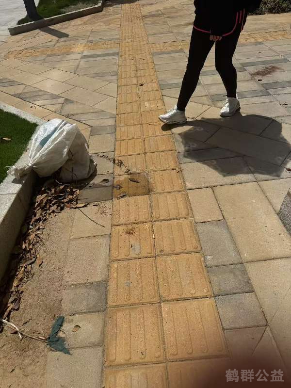 盲道问题处理后图片
