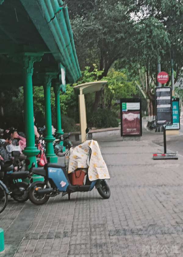 盲道问题反馈图