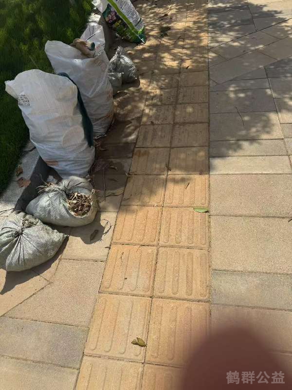 盲道问题处理后图片