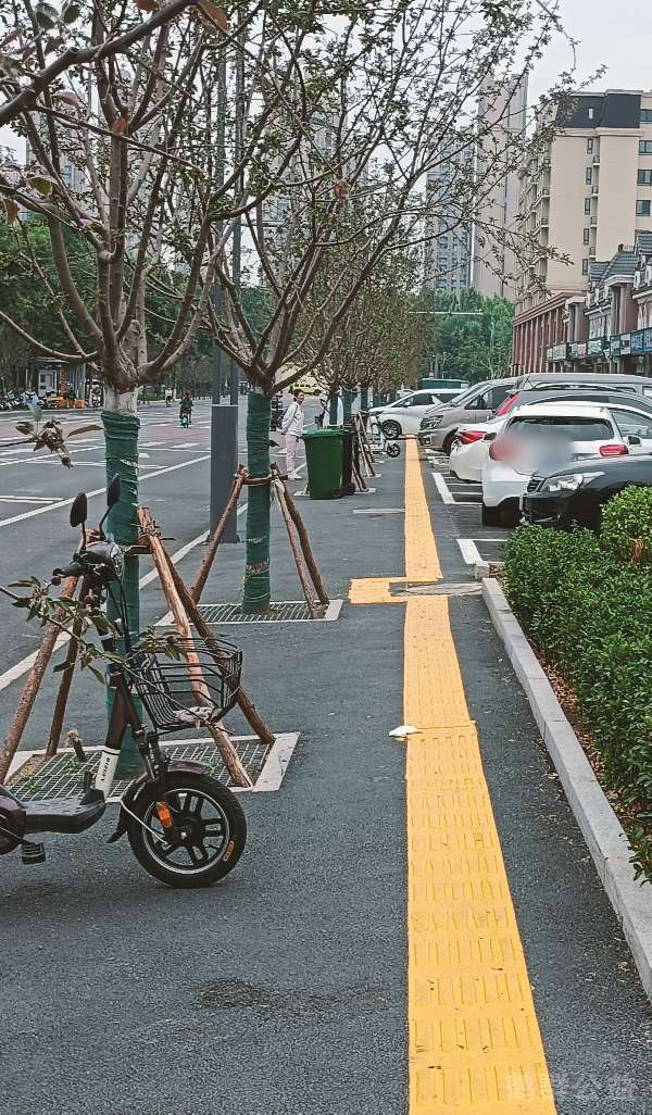 盲道问题处理后图片