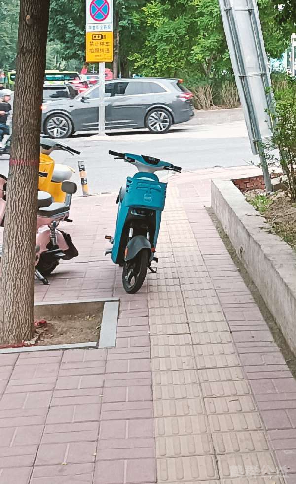 盲道问题反馈图