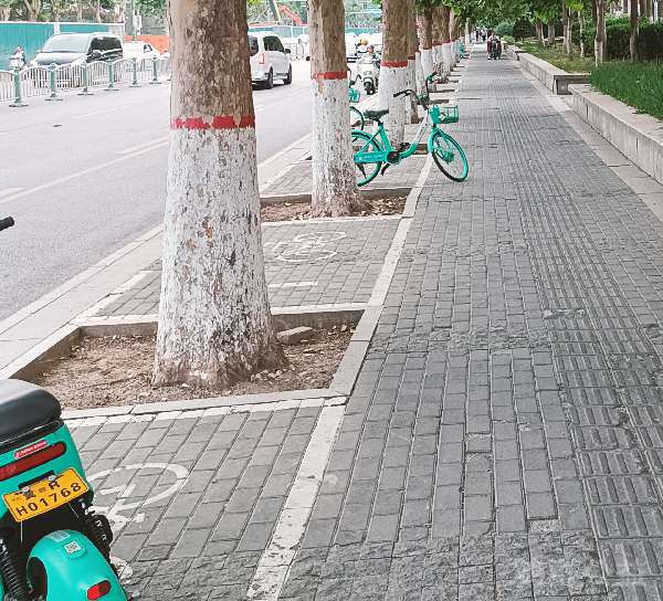盲道问题处理后图片