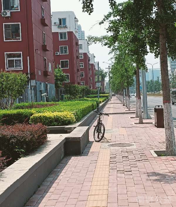 盲道问题反馈图