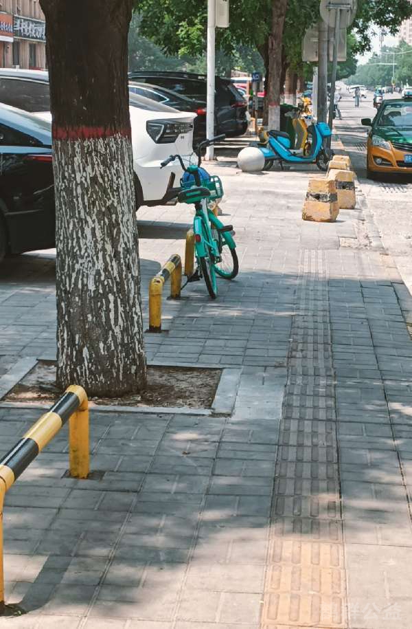 盲道问题处理后图片