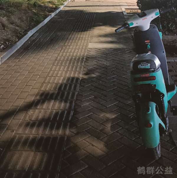 盲道问题处理后图片