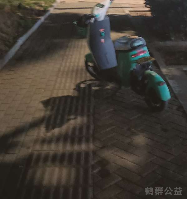 盲道问题反馈图