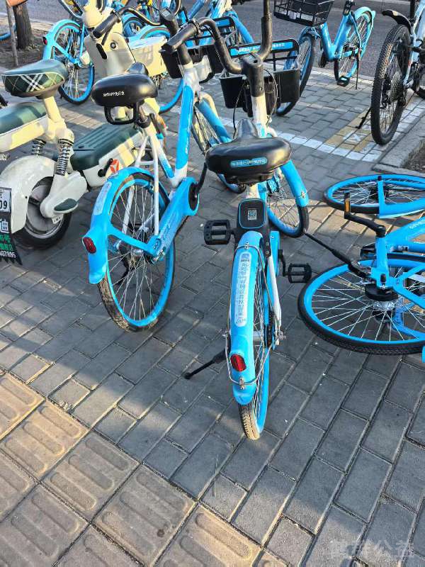 盲道问题处理后图片