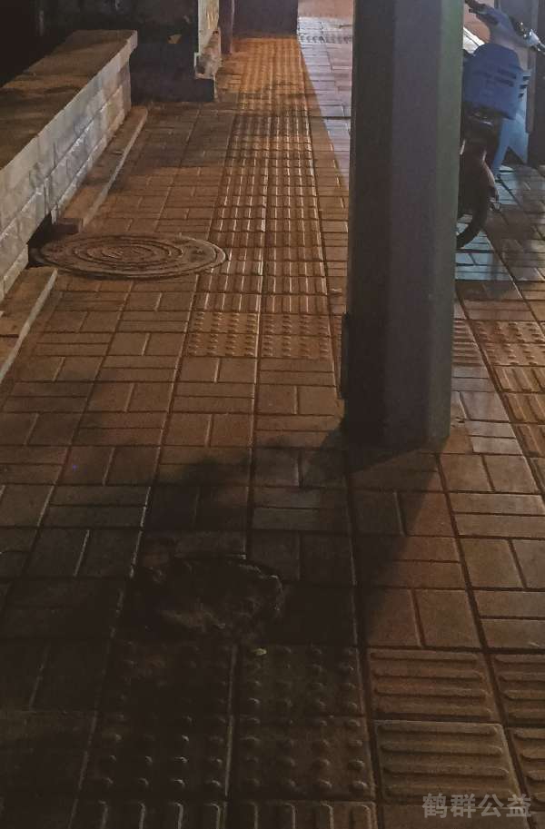 盲道问题处理后图片