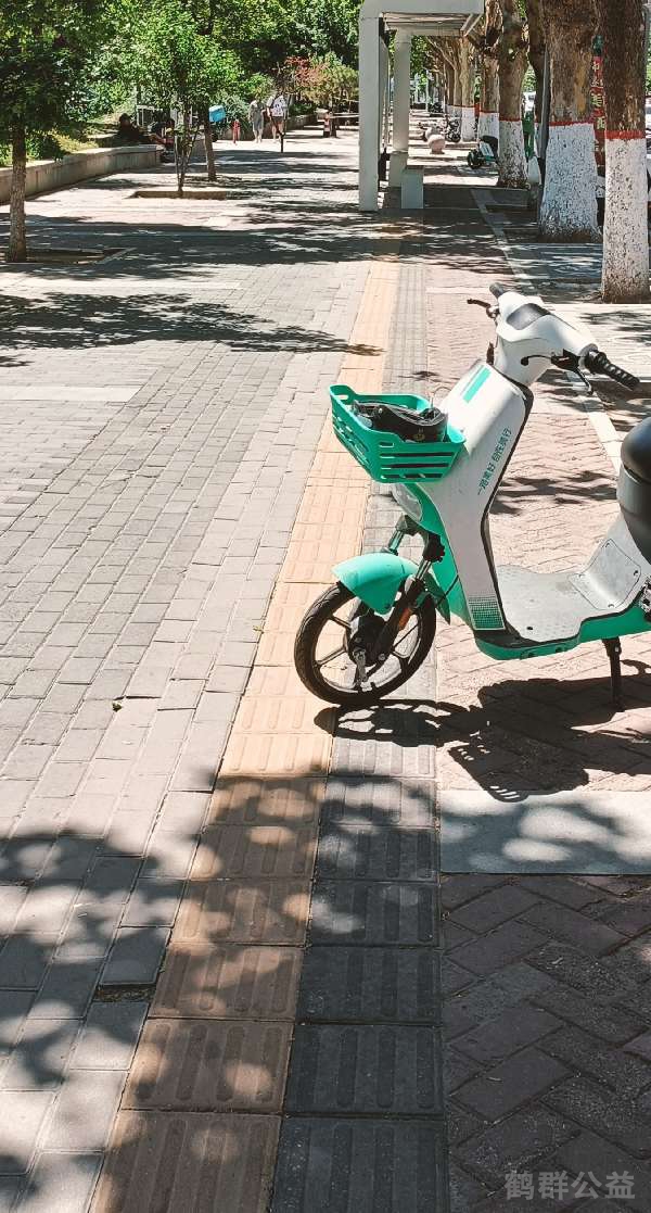 盲道问题反馈图